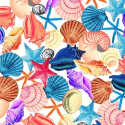 SEASHELL COLLAGE