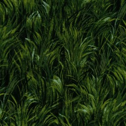 MEADOW GRASS